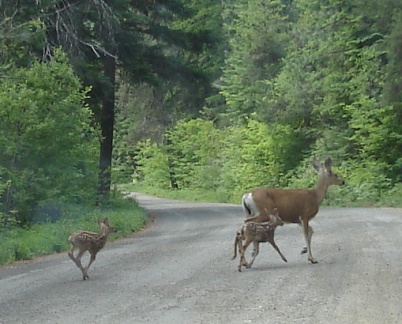 3648823799_d625092959_o (2)