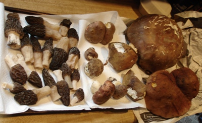 3648824181_7e3fbdecb7_o (2)