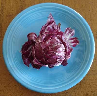 3786733566_735eb9e0f7_o (2)